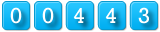 page counter