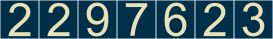 website hits counter